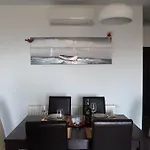 Miocic * Zadar